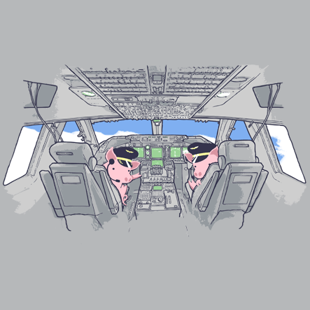 Cruising At 35,000ft