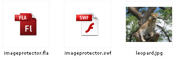 Image protection using Flash 10