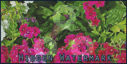 Hidden Watermark